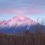 Natural Food Grocery & Deli